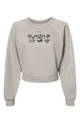 Load image into Gallery viewer, Spray paint, Raglan Pullover Fleece Sweatshirt