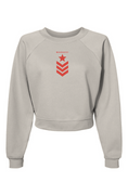Load image into Gallery viewer, Star and stripe, Raglan Pullover Fleece Sweatshirt