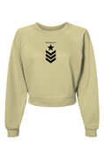 Load image into Gallery viewer, Star and stripe, Raglan Pullover Fleece Sweatshirt