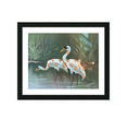 Load image into Gallery viewer, Designer Wildlife