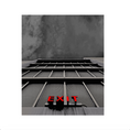 Load image into Gallery viewer, EXIT