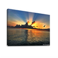 Load image into Gallery viewer, Rays