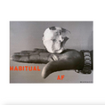 Load image into Gallery viewer, Habitual AF