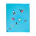Load image into Gallery viewer, Freedom