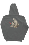 Load image into Gallery viewer, Worlds Oldest Obsession, heavyweight pullover hoodie
